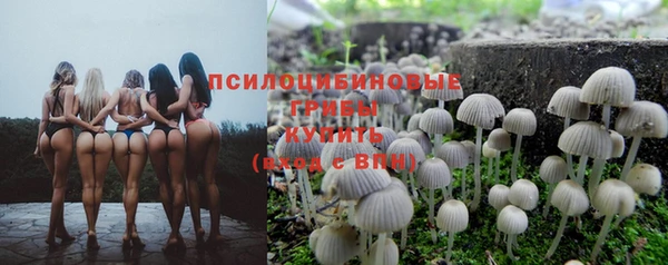 трава Арсеньев