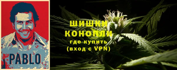 каннабис Аркадак