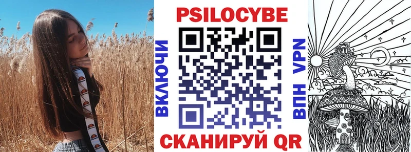Галлюциногенные грибы Psilocybe  купить наркоту  Фролово 